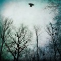 Buy Over The Ocean - Be Given To The Soil Mp3 Download