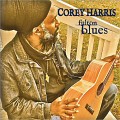 Buy Corey Harris - Fulton Blues Mp3 Download
