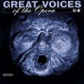Buy Lotte Lehmann - Great Voices Of The Opera: Lotte Lehmann CD4 Mp3 Download