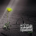 Buy Ashes Of A Lifetime - Green Mp3 Download