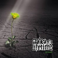 Purchase Ashes Of A Lifetime - Green