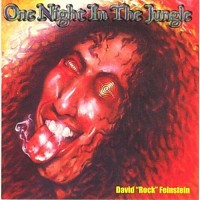 Purchase David Rock Feinstein - One Night In The Jungle