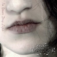 Purchase A Sorrowful Dream - In Your Dry Lips (EP)