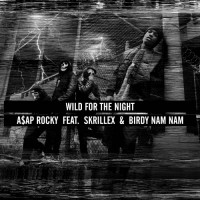 Purchase A$ap Rocky - Wild For The Night (Feat. Skrillex) (CDS)