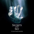 Buy Secrets Of The Sky - To Sail Black Waters Mp3 Download