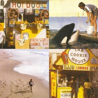 Purchase Best Coast - Something In The Way (CDS)