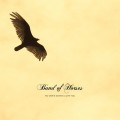 Buy Band Of Horses - No One's Gonna Love You (CDS) Mp3 Download