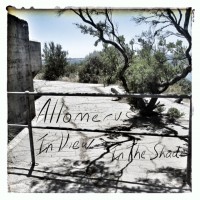 Purchase Allomerus - In View In The Shade