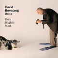 Buy David Bromberg - Only Slightly Mad Mp3 Download