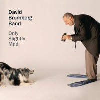 Purchase David Bromberg - Only Slightly Mad