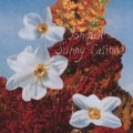 Buy Jonquil - Sunny Casinos Mp3 Download