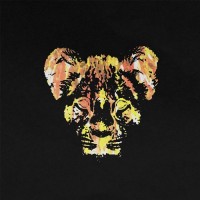 Purchase Young Lions - Burn
