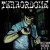 Buy Terrordome - We'll Show You Mosh Bitch! Mp3 Download