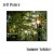 Buy Jeff Pearce - Summer Solstice Mp3 Download