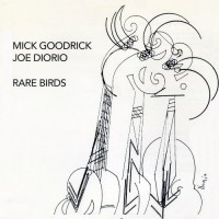 Purchase Mick Goodrick & Joe Dorio - Rare Birds