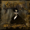 Buy Skinny Al - Schattenseiten Mp3 Download