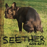 Purchase Seether - Seether: 2002-2013 CD1