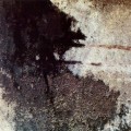 Buy Animist Orchestra - Wuwei Mp3 Download