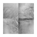 Buy Steve Roden - Invalidobject Series (For) (EP) Mp3 Download