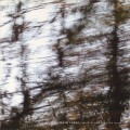 Buy Steve Roden - Speak No More About The Leaves Mp3 Download