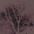 Buy Lovesliescrushing - Shiny Tiny Stars Mp3 Download