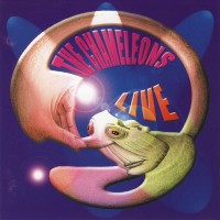 Purchase The Chameleons - Live At The Academy CD2