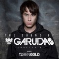 Buy VA - The Sound Of Garuda Chapter 3 (Mixed By Ben Gold) Mp3 Download