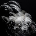 Buy The Gazette - Beautiful Deformity Mp3 Download