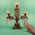 Buy Tropic Of Cancer - Restless Idylls Mp3 Download