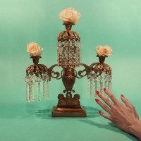 Purchase Tropic Of Cancer - Restless Idylls