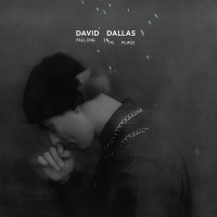 Purchase David Dallas - Falling Into Place