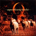 Buy A Perfect Circle - Passiv e (CDS) Mp3 Download
