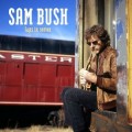 Buy Sam Bush - Laps In Seven Mp3 Download