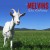 Buy Melvins - Tres Cabrones Mp3 Download