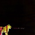 Buy Kids In Glass Houses - E-Pocalypse (EP) Mp3 Download