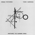 Buy Asmus Tietchens - Watching The Burning Bride (With Terry Burrows) (Vinyl) Mp3 Download