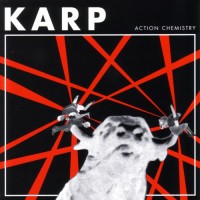 Purchase Karp - Action Chemistry