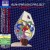 Buy The Alan Parsons Project - I Robot CD1 Mp3 Download