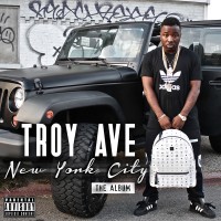 Purchase Troy Ave - New York City