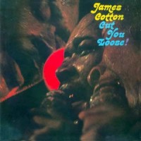 Purchase James Cotton - Cut You Loose! (Vinyl)