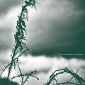 Buy Rafael Anton Irisarri - The North Bend Mp3 Download
