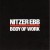 Buy Nitzer Ebb - Body Of Work CD1 Mp3 Download