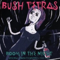Purchase Bush Tetras - Boom In The Night (Original Studio Recordings 1980-1983)