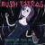 Buy Bush Tetras - Boom In The Night (Original Studio Recordings 1980-1983) Mp3 Download
