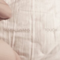 Purchase Silver Swans - Touch