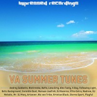 Purchase VA - Summer Tunes 2012