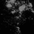 Buy When Woods Make Graves - This Forest That Will Eclipse The Sky (EP) Mp3 Download