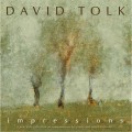 Buy David Tolk - Impressions Mp3 Download