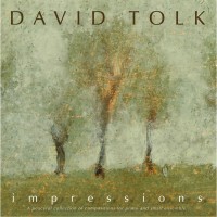 Purchase David Tolk - Impressions