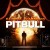 Buy Pitbull - Global Warming (Deluxe Edition) Mp3 Download